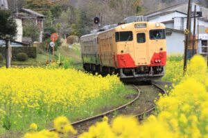【朗報】首都圏のローカル鉄道で、気軽に日帰り小旅行を楽もう!