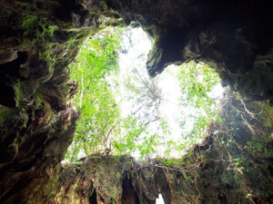 屋久島の魅力を満喫！初心者必見の2泊3日縦走コースだっ！