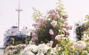 【朗報】横浜山下公園に咲き誇る1,900株のバラが圧巻すぎた件！