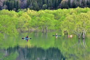 山形県「白川湖の水没林」雪解け水が創り出す自然界の芸術！