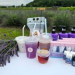 埼玉「らんざんラベンダーまつり」香りの強いグロッソも楽しめる