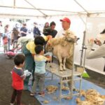 川崎「農業フェスタ」in等々力緑地！ 親子で1日中楽しいぞｗｗｗ