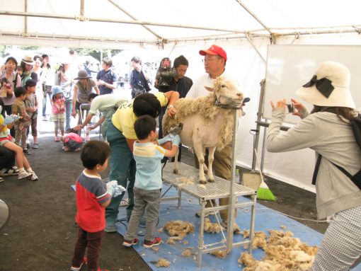 川崎「農業フェスタ」in等々力緑地! 親子で1日中楽しいぞwww