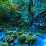 「日本三大鍾乳洞」の魅力を探る！神秘の地底世界を旅しよう！