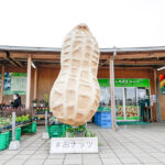 木更津 道の駅「うまくたの里」の野菜イベント幸せすぎるって！