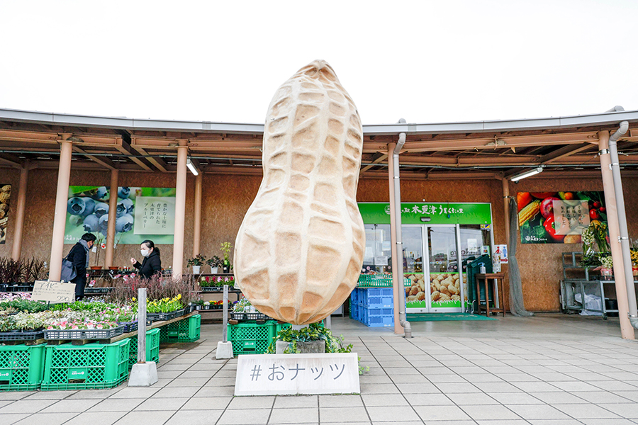 木更津 道の駅「うまくたの里」の野菜イベント幸せすぎるって！