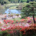 東京23区のつつじ名所「六義園」でツツジが見頃！峠斜面が圧巻！