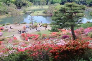 東京23区のつつじ名所「六義園」でツツジが見頃！峠斜面が圧巻！