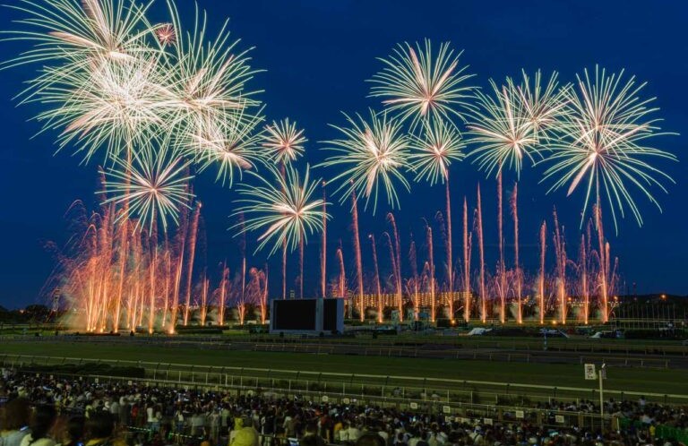 「東京競馬場花火 2025」J-POPに合わせて14,000発が咲く!