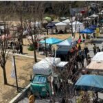 茅ヶ崎市「湘南 Hau’Oli フェスティバル」6月8日開催決定！