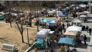 茅ヶ崎市「湘南 Hau’Oli フェスティバル」6月8日開催決定！