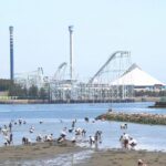横浜の人気潮干狩りスポット「海の公園」「野島公園」へ行こう！
