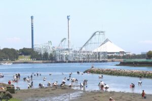 横浜の人気潮干狩りスポット「海の公園」「野島公園」へ行こう!