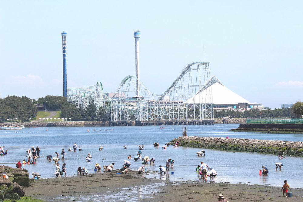 横浜の人気潮干狩りスポット「海の公園」「野島公園」へ行こう!