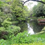 相模原「中央区の公園で楽しむ季節の花々」相模原の魅力再発見！