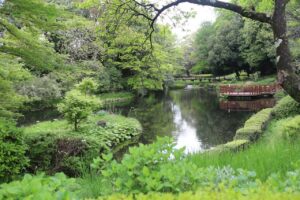 相模原「中央区の公園で楽しむ季節の花々」相模原の魅力再発見！