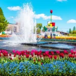 富山県砺波市「となみチューリップフェア」が今年も大盛況!