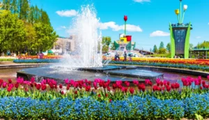 富山県砺波市「となみチューリップフェア」が今年も大盛況！