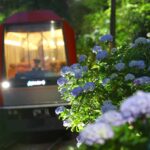箱根登山電車「夜のあじさい号」で体験する幻想的な箱根の夜!
