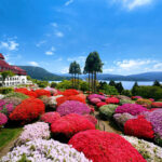 今年は入場無料「箱根小田急山のホテル」つつじ・しゃくなげフェア!