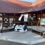 栃木那須高原でリフレッシュ散歩!子連れにおすすめスポット4選