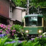 鎌倉は梅雨でも楽しい「雨の日デートおすすめスポット８選」