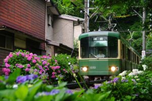 鎌倉は梅雨でも楽しい「雨の日デートおすすめスポット８選」