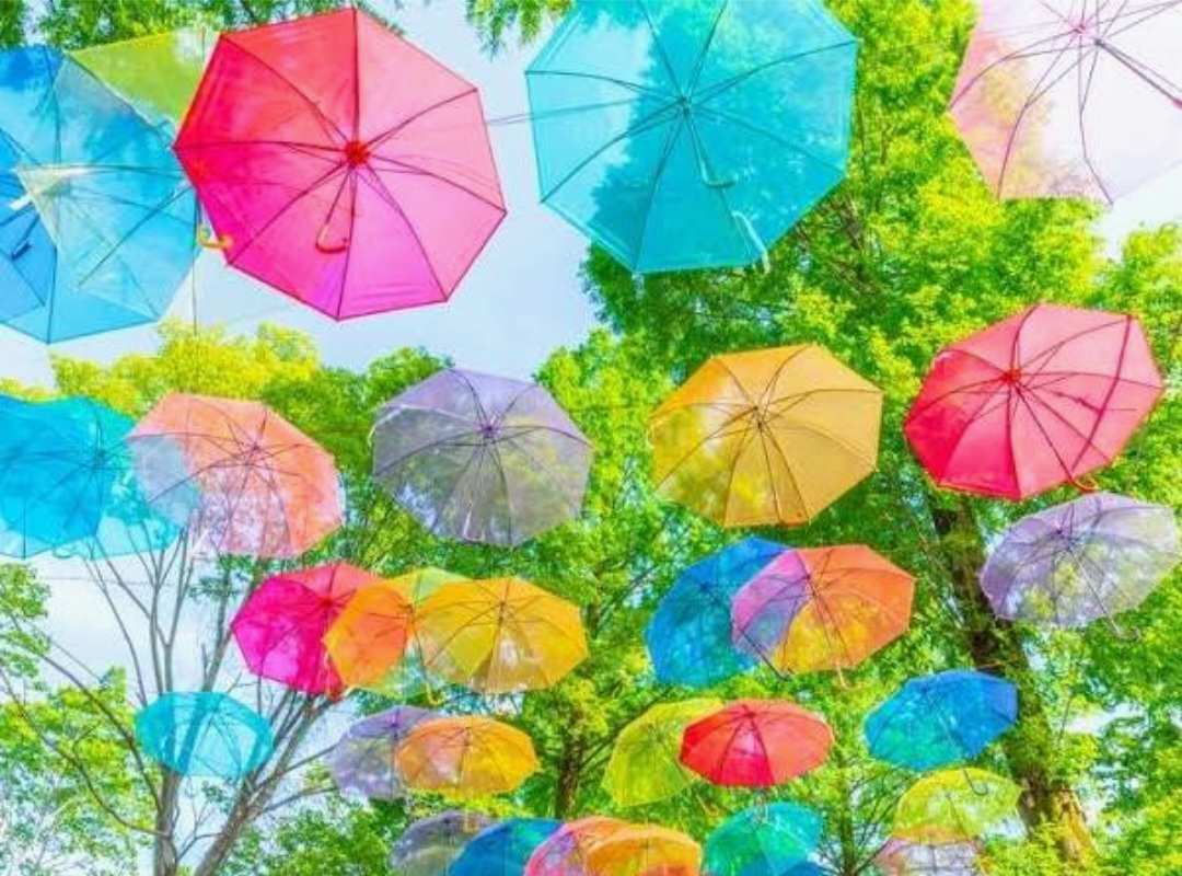 雨のお出かけにピッタリ！関東「アンブレラスカイ」イベント6選