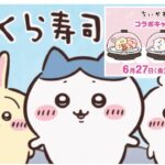 「くら寿司ｘちいかわコラボ！」限定グッズも登場の最新情報！