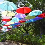 梅雨を楽しむ!ムーミンバレーパークのあじさいロードの魅力