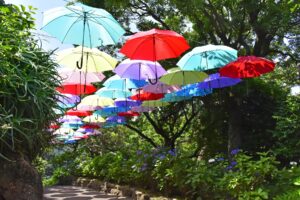 梅雨を楽しむ！ムーミンバレーパークのあじさいロードの魅力