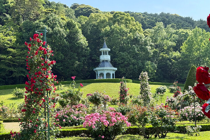 伊豆「河津バガテル公園」で過ごす優雅なバラとカフェの体験!