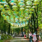 埼玉ムーミンバレーパークは雨も楽しい「あじさいロード」開催