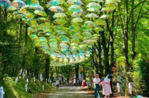 埼玉ムーミンバレーパークは雨も楽しい「あじさいロード」開催