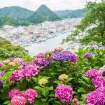 静岡「下田公園あじさい祭」300万輪のアジサイが咲き誇る!