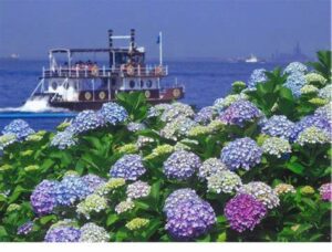 横浜八景島「あじさい祭」開催！帰りは金沢八景でうな重に舌鼓～