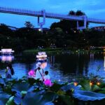 千葉公園で「ヨハス」開催中!光と音楽の夜祭が創る幻想空間!