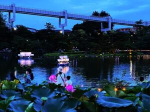 千葉公園で「ヨハス」開催中！光と音楽の夜祭が創る幻想空間！