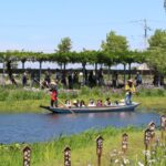 千葉香取市「水郷佐原あやめパーク」小舟でハナショウブ散策!