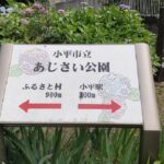 小平市「あじさい公園のライトアップ」で過ごす幻想的な時間