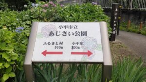 小平市「あじさい公園のライトアップ」で過ごす幻想的な時間