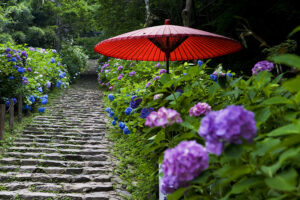栃木「太平山県立自然公園」2500株の美しい色彩に心奪われる！