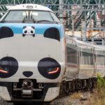 JR西日本 パンダ帰国後も「特急 パンダくろしお」は運行継続！