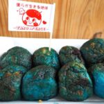 大阪万博で話題沸騰！「青すぎるたこ焼き」地球みたい？ｗｗｗ