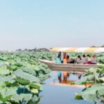 館林市、つつじが岡公園「夏の城沼・花ハスまつり」7月10日から