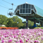 岐阜の新スポット「ひるがのピクニックガーデン」7/12オープン