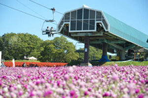 岐阜の新スポット「ひるがのピクニックガーデン」7/12オープン