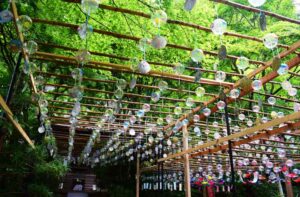 兵庫「光明寺  風鈴まつり」風鈴3千個が奏でる癒やしの音色！