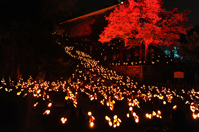 八千代市・小板橋時平神社「宵のもうで」幻想的な特別な夜を!