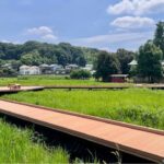 町田市に新名所！「小山田蓮田緑地」一部が先行開園！